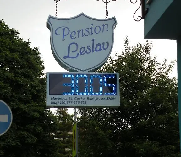 Мініготель Penzion- Leslav