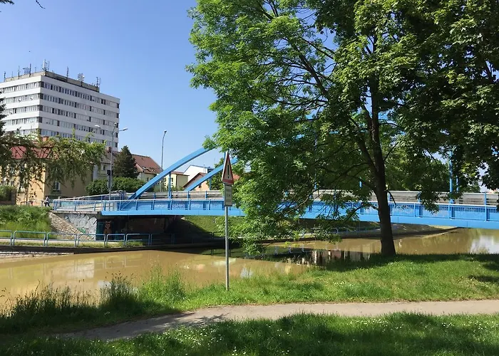 Мініготель Penzion- Leslav *